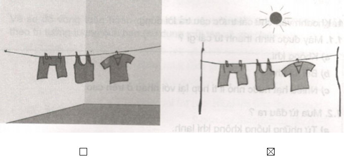 20190614045840hinh 97 khoa hoc 4 vbt ddn