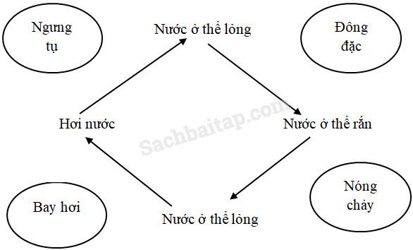 20190614045842hinh 100 khoa hoc 4 vbt ddn