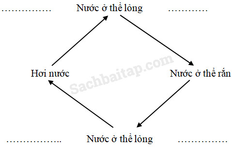 20190614045842hinh 99 khoa hoc 4 vbt ddn 1