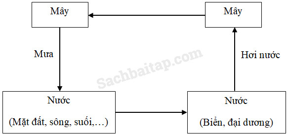 20190614045845hinh 106 khoa hoc 4 vbt ddn