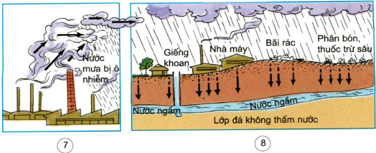 20190614045849hinh 117 khoa hoc 4 vbt ddn