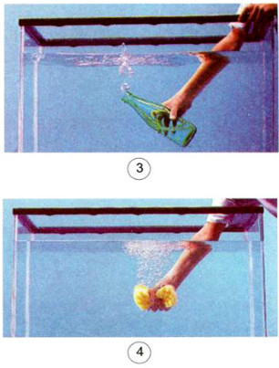 20190614045900hinh-137-khoa-hoc-4-vbt-ddn 20190614045900hinh 137 khoa hoc 4 vbt ddn