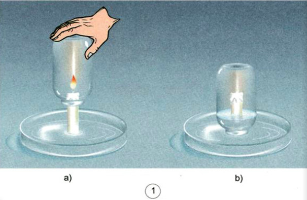 20190614045905hinh 146 khoa hoc 4 vbt ddn 1