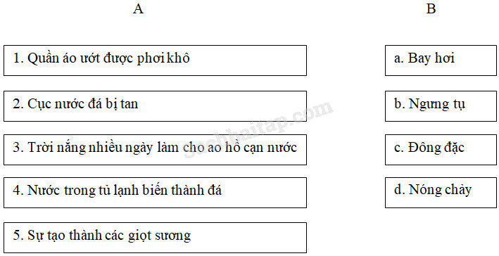 20190614045910hinh 154 khoa hoc 4 vbt ddn 1