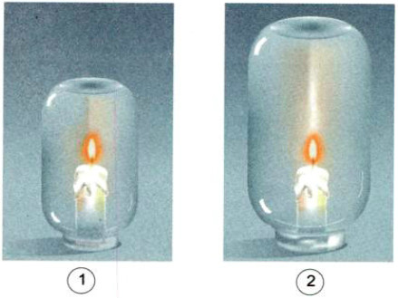 20190614045911hinh 157 khoa hoc 4 vbt ddn 1