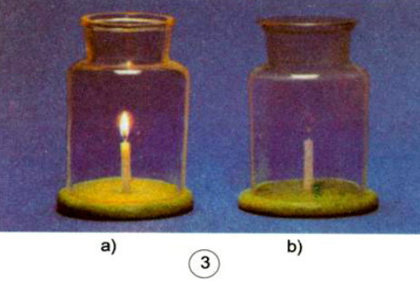 20190614045912hinh 158 khoa hoc 4 vbt ddn