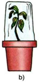 20190614045915hinh 165 khoa hoc 4 vbt ddn