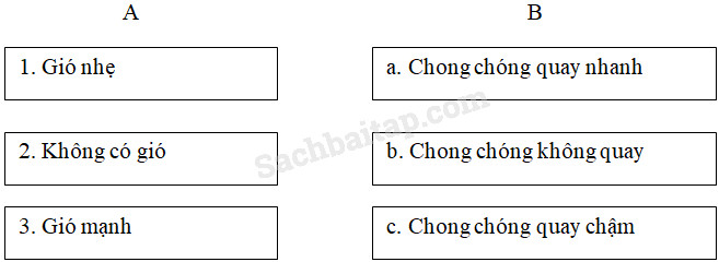 20190614045917hinh 169 khoa hoc 4 vbt ddn 1