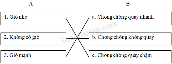 20190614045917hinh 170 khoa hoc 4 vbt ddn