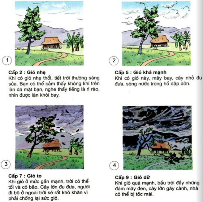 20190614045920hinh 175 khoa hoc 4 vbt ddn 1