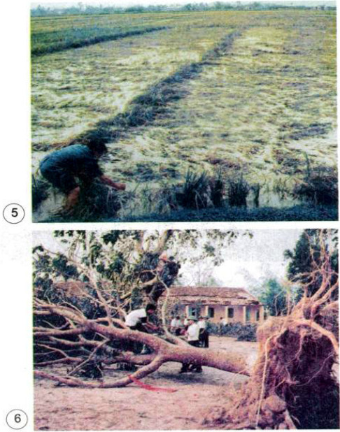 20190614045921hinh 176 khoa hoc 4 vbt ddn 1