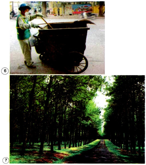 20190614045925hinh 185 khoa hoc 4 vbt ddn