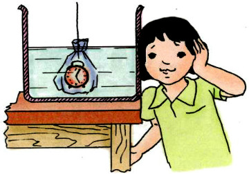 20190614045930hinh 194 khoa hoc 4 vbt ddn 1