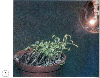 20190614045939hinh 211 khoa hoc 4 vbt ddn 1