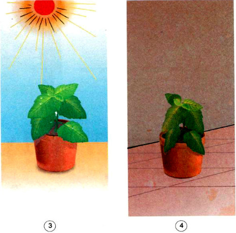 20190614045940hinh 213 khoa hoc 4 vbt ddn 1