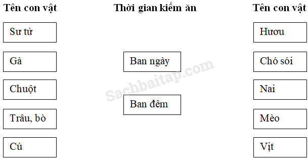 20190614045943hinh 218 khoa hoc 4 vbt ddn 1