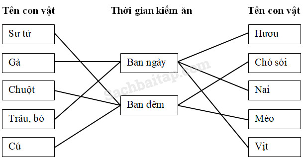 20190614045943hinh 219 khoa hoc 4 vbt ddn