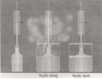20190614045947hinh 227 khoa hoc 4 vbt ddn 1