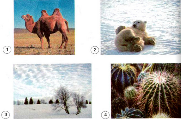 20190614045953hinh-239-khoa-hoc-4-vbt-ddn-1 20190614045953hinh 239 khoa hoc 4 vbt ddn 1