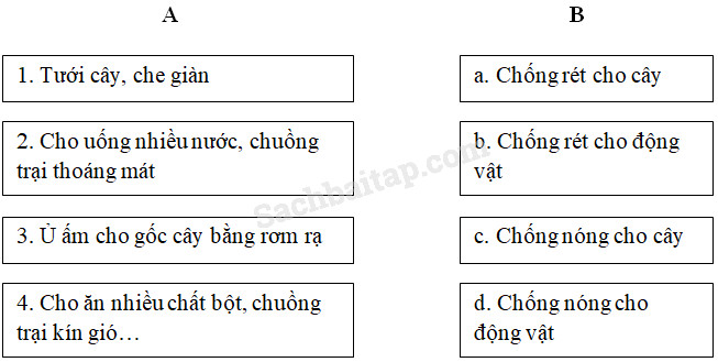 20190614045954hinh 241 khoa hoc 4 vbt ddn 1