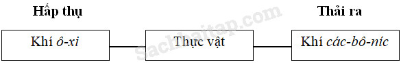 20190614050008hinh 270 khoa hoc 4 vbt ddn