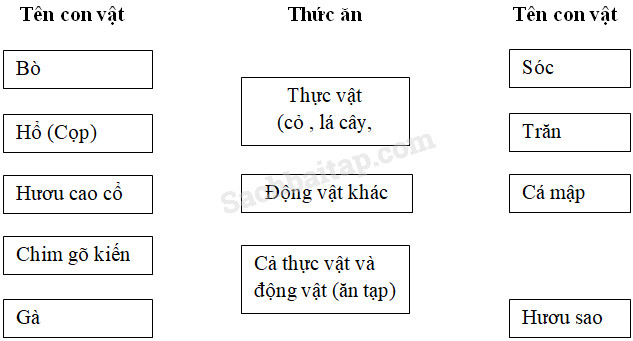 20190614050012hinh 279 khoa hoc 4 vbt ddn 1