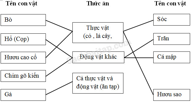 20190614050012hinh 280 khoa hoc 4 vbt ddn