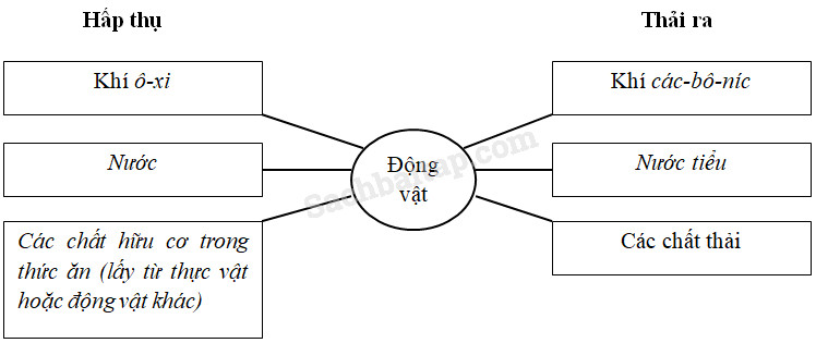 20190614050014hinh 285 khoa hoc 4 vbt ddn