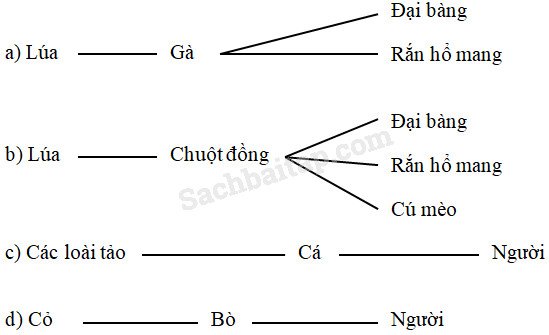 20190614050022hinh 301 khoa hoc 4 vbt ddn 1
