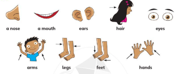 20210907155648cd starter task 13