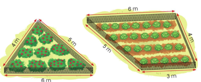 20221124155710bai 3 3