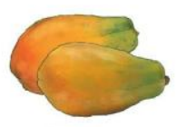 20221124155821bai 3 4