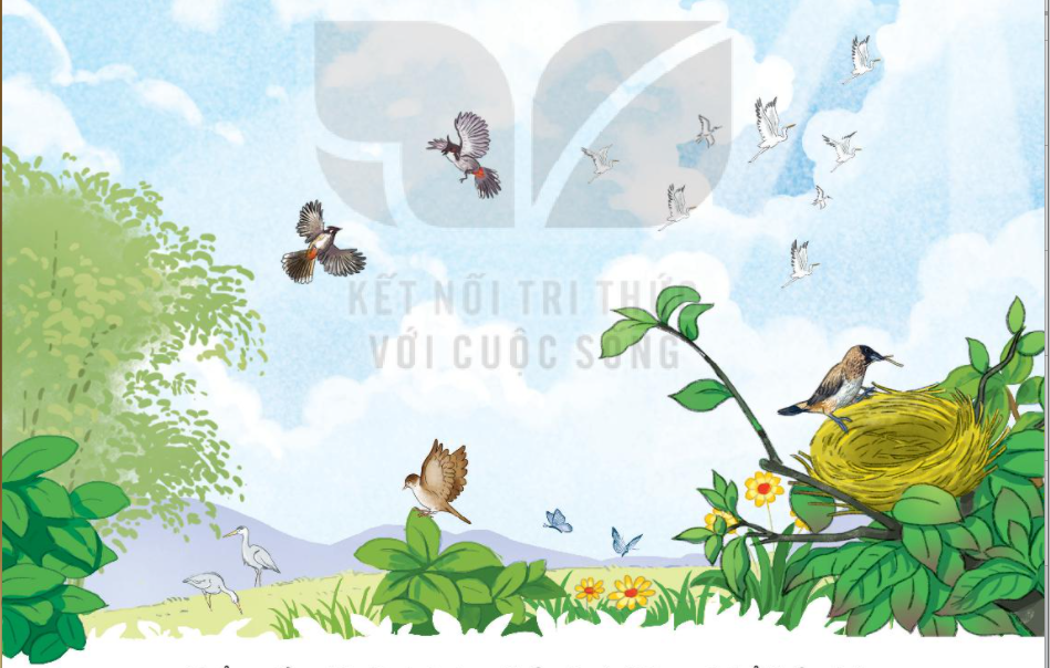 Bài 1: Bầu trời trang 8, 9 Tiếng Việt 3 tập 2 Kết nối tri thức: Nói về những gì em thấy trên bầu trời? Nhìn lên bầu trời, có thể thấy những gì? Màu sắc của bầu trời như thế 1 202303040453571