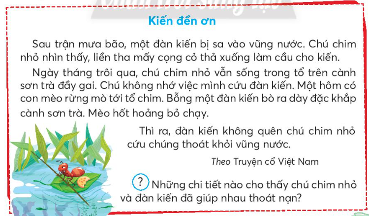 202303040527033501-1 202303040527033501 1