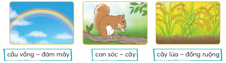 202303040530037_1 202303040530037 1