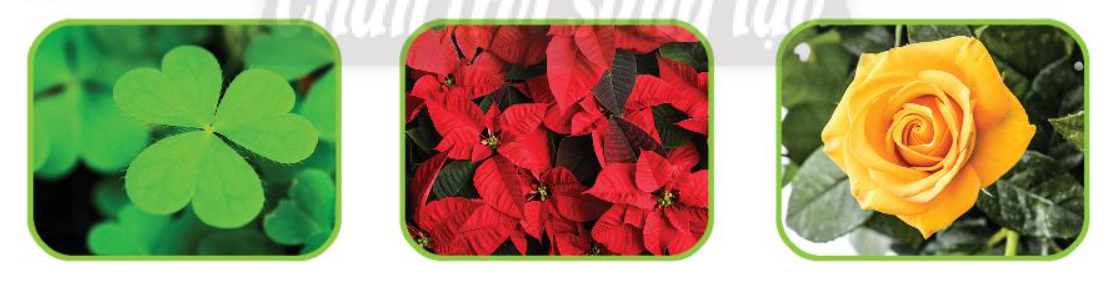 2023030405313657 2023030405313657