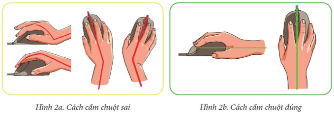 202303040615063 1 3 cd