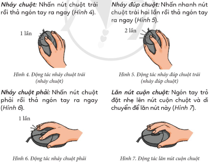 202303040615063 5 3 cd