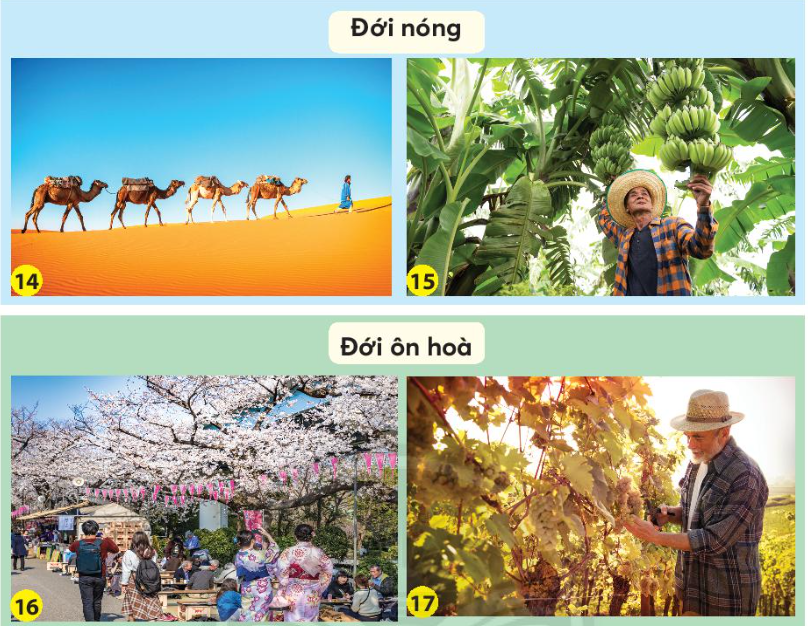 2023030410280717 2023030410280717