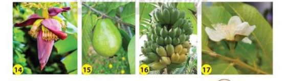 20230304102927110 20230304102927110