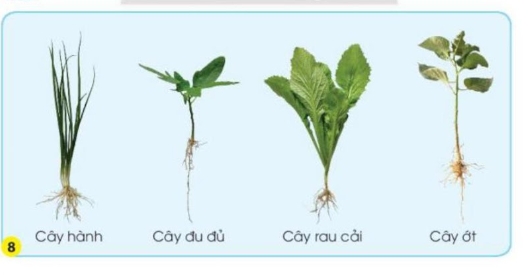 2023030410293819_1 2023030410293819 1