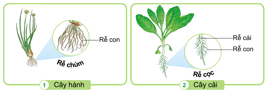 2023030411145313-1 2023030411145313 1