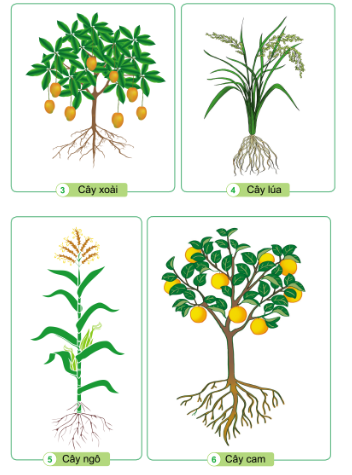 2023030411145314 2023030411145314