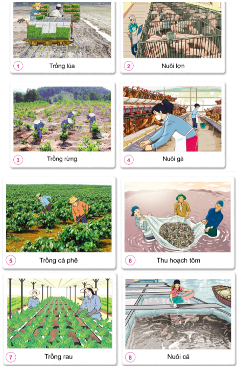 2023030411152712 11 1