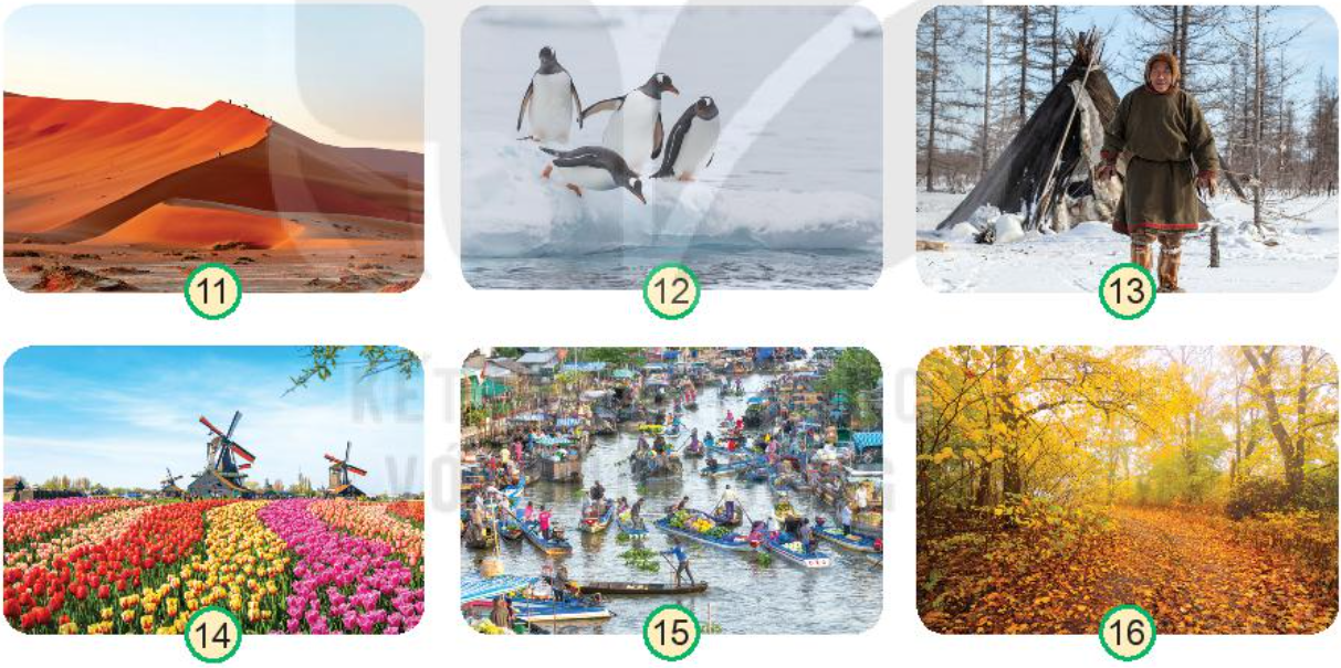 2023030415213425 2023030415213425