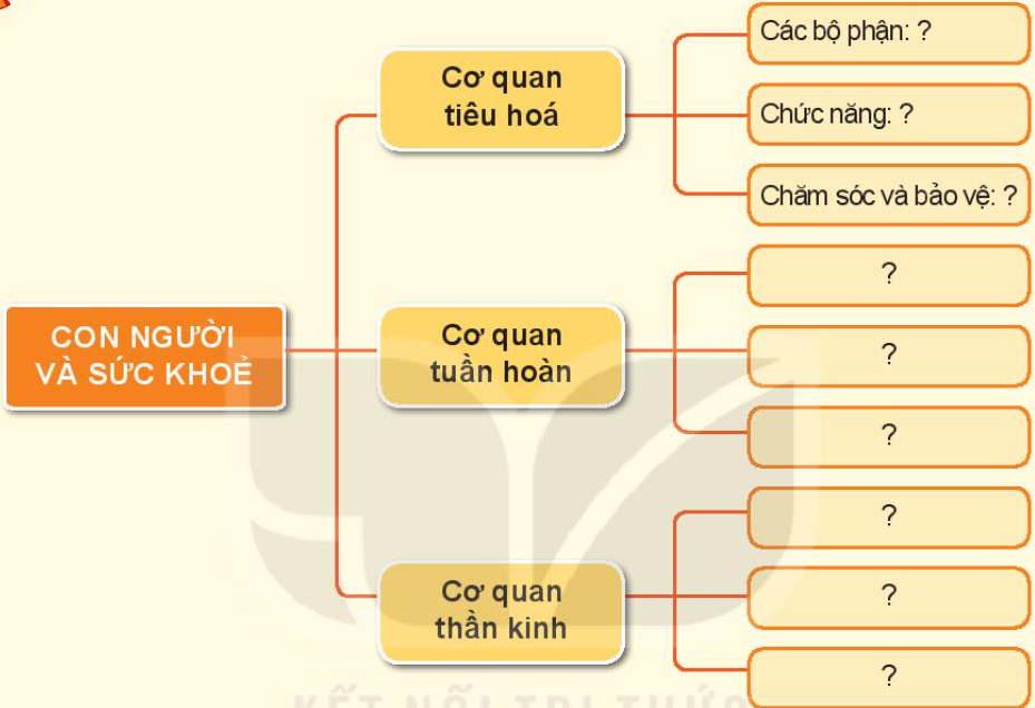 2023030415215581 2023030415215581