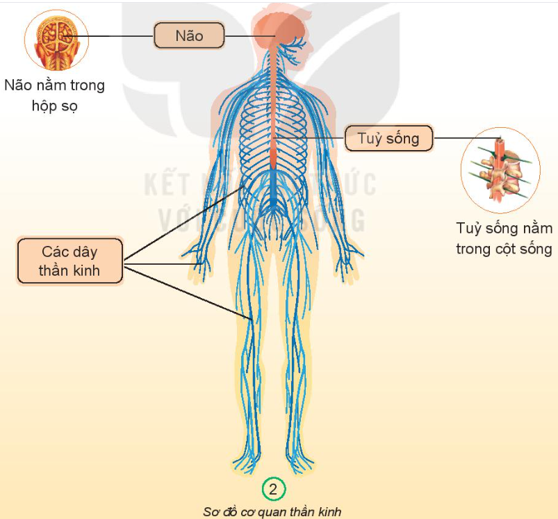 2023030415221451 2023030415221451