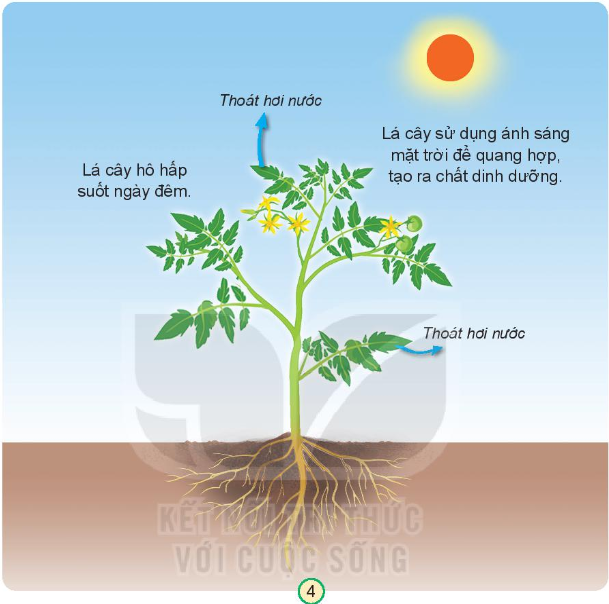 2023030415232313_5 2023030415232313 5