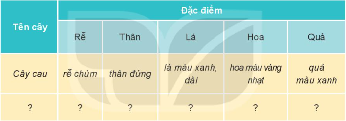 20230304152330111 20230304152330111