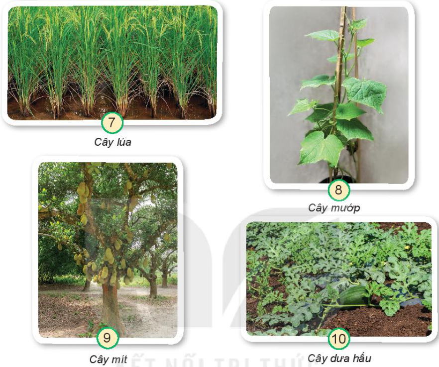 2023030415234114_1 2023030415234114 1